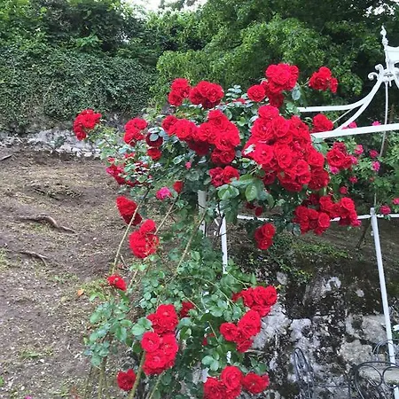 Relais Augusta Nocleg ze śniadaniem