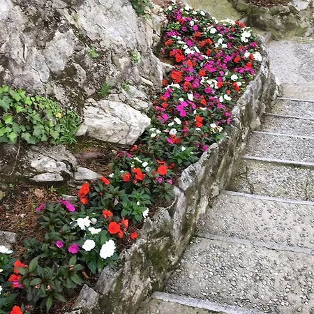 Nocleg ze śniadaniem Relais Augusta *